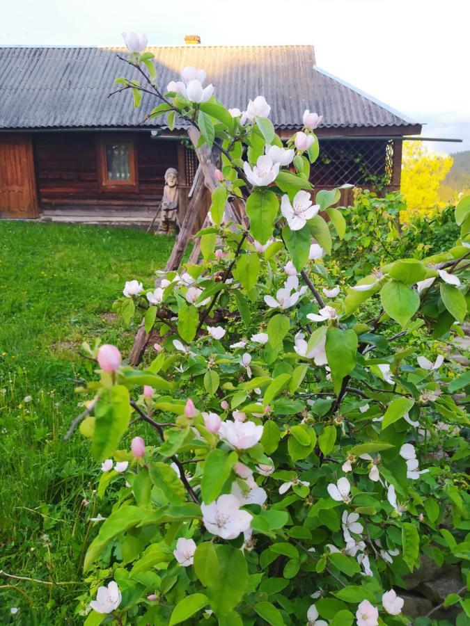 Starovitska Hata - Ethno-cottage Verkhovyna Esterno foto