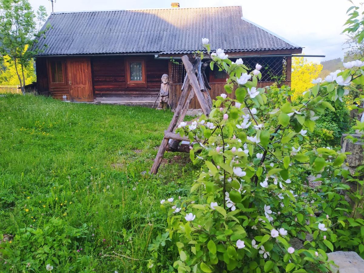 Starovitska Hata - Ethno-cottage Verkhovyna Esterno foto