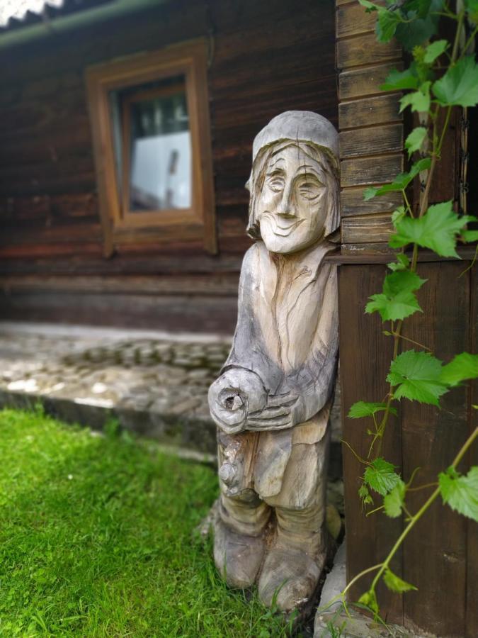 Starovitska Hata - Ethno-cottage Verkhovyna Esterno foto