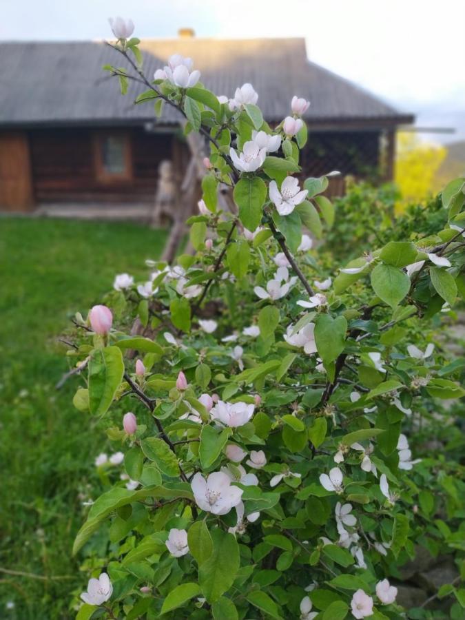 Starovitska Hata - Ethno-cottage Verkhovyna Esterno foto