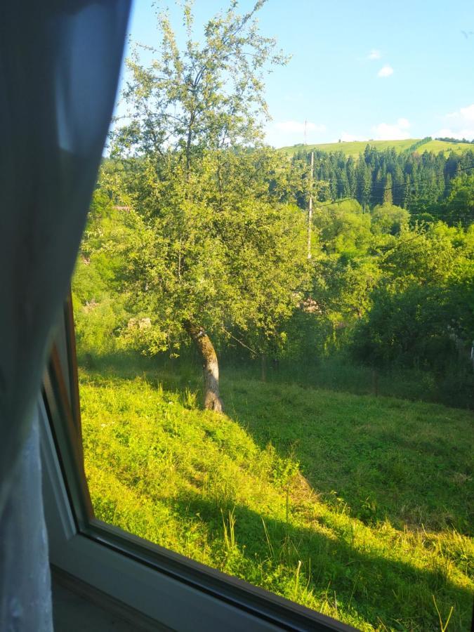 Starovitska Hata - Ethno-cottage Verkhovyna Esterno foto
