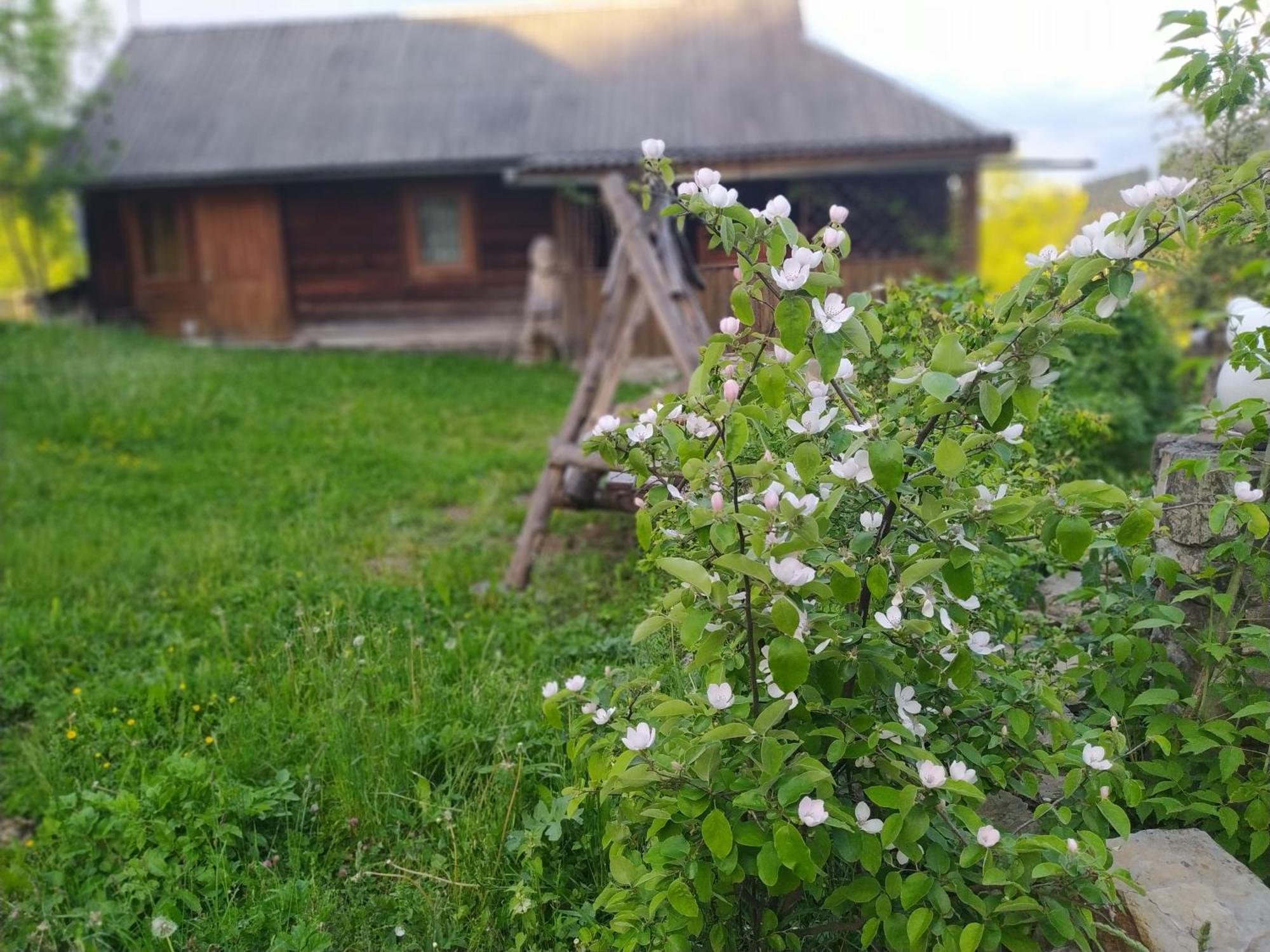 Starovitska Hata - Ethno-cottage Verkhovyna Esterno foto