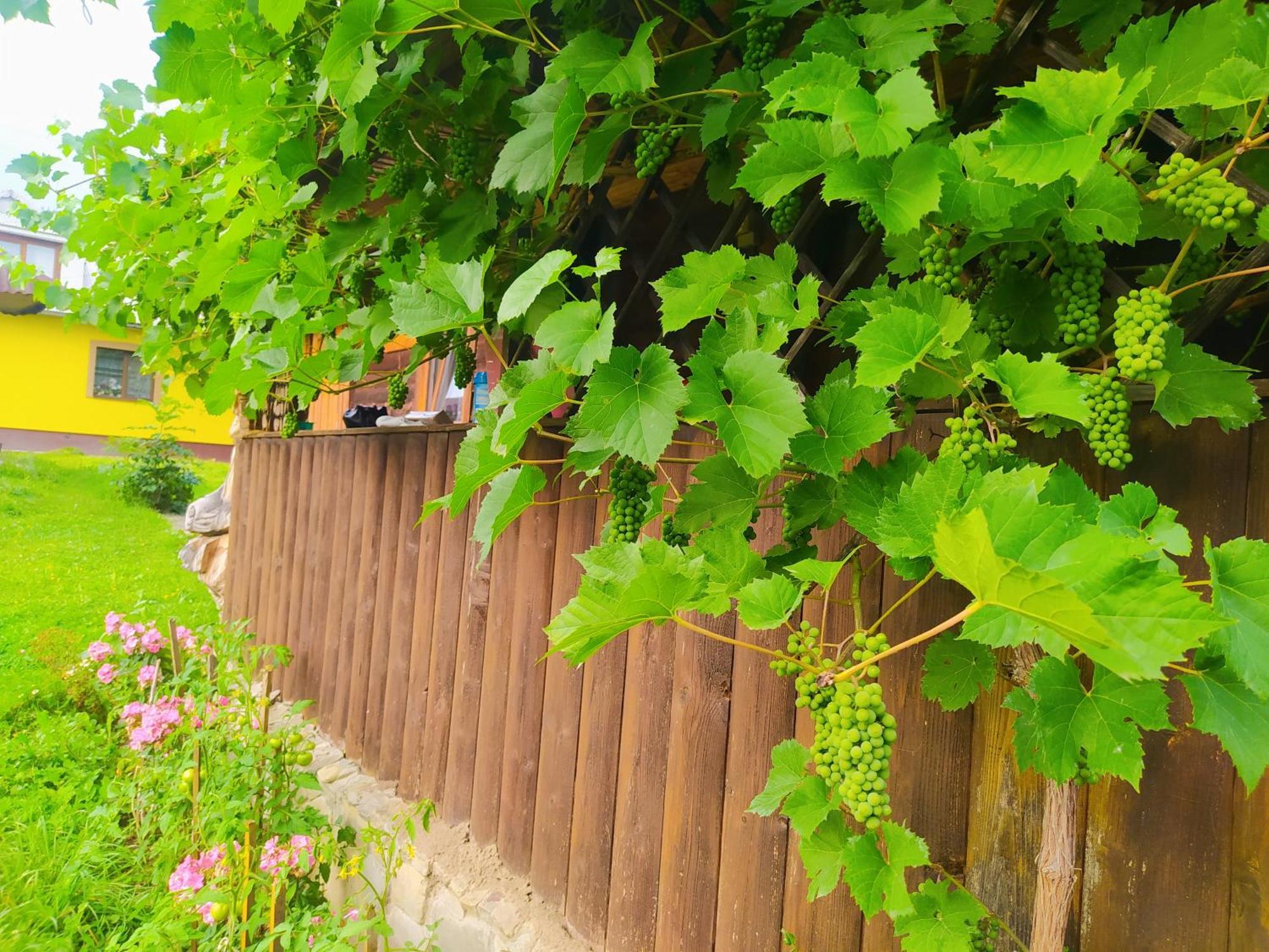 Starovitska Hata - Ethno-cottage Verkhovyna Esterno foto