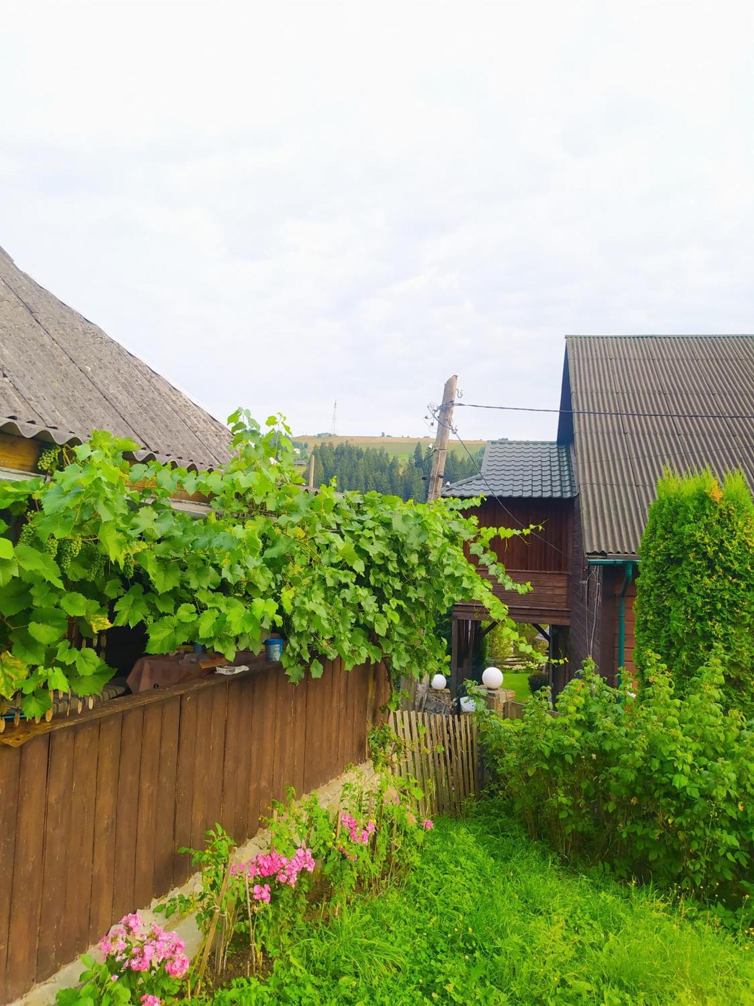 Starovitska Hata - Ethno-cottage Verkhovyna Esterno foto