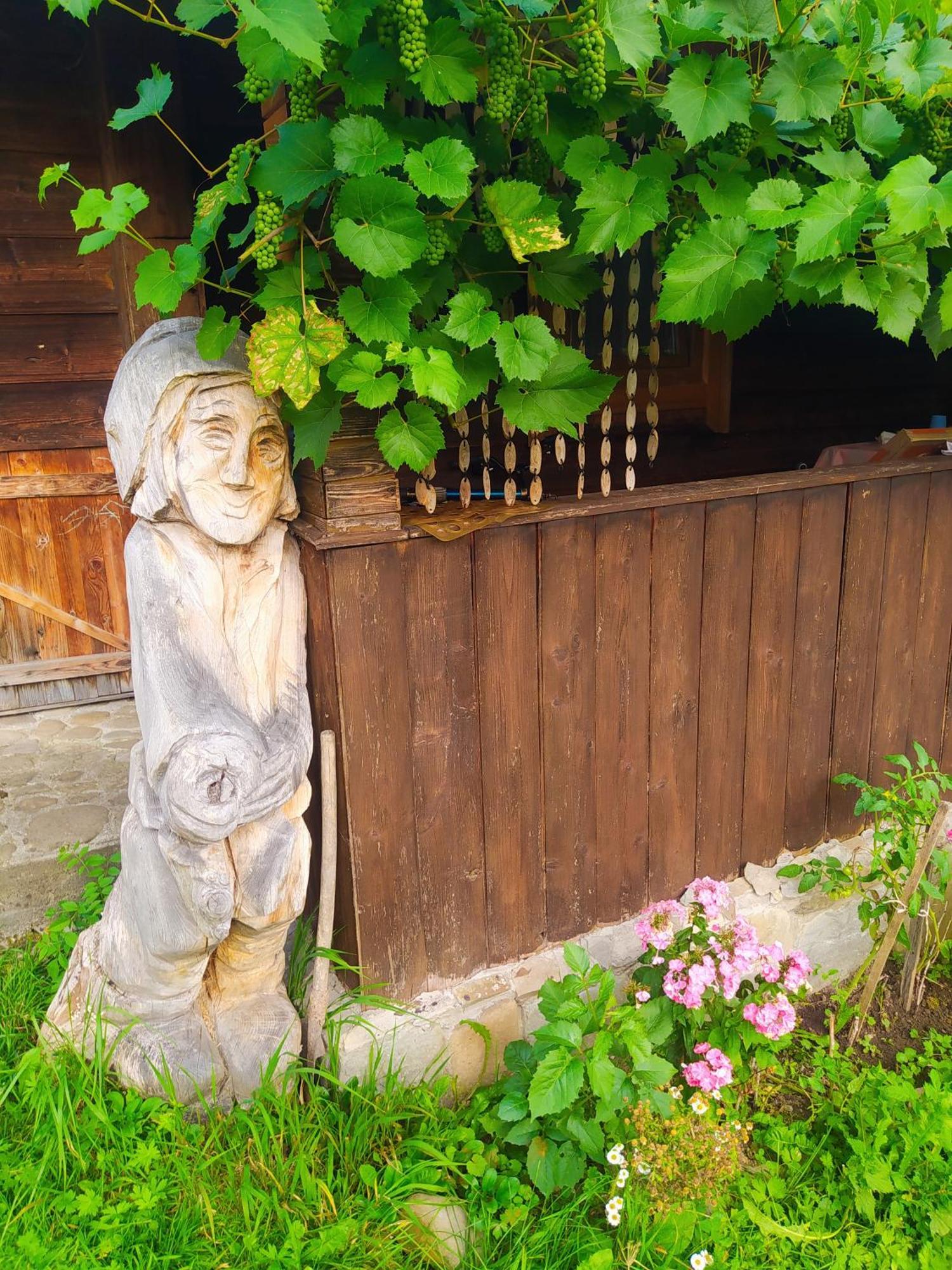 Starovitska Hata - Ethno-cottage Verkhovyna Esterno foto