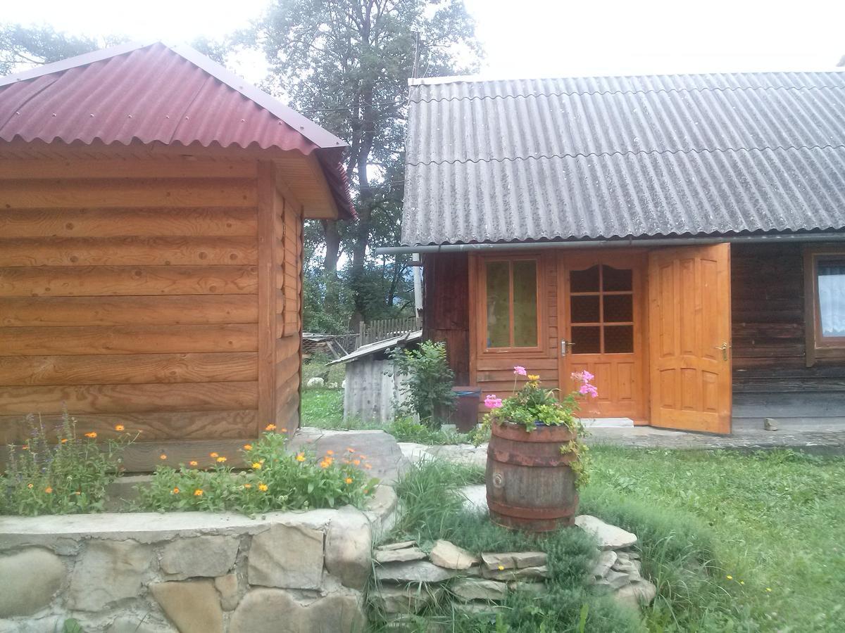 Starovitska Hata - Ethno-cottage Verkhovyna Esterno foto