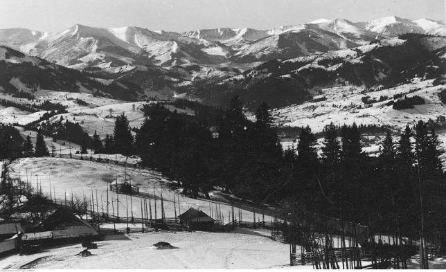 Starovitska Hata - Ethno-cottage Verkhovyna Esterno foto